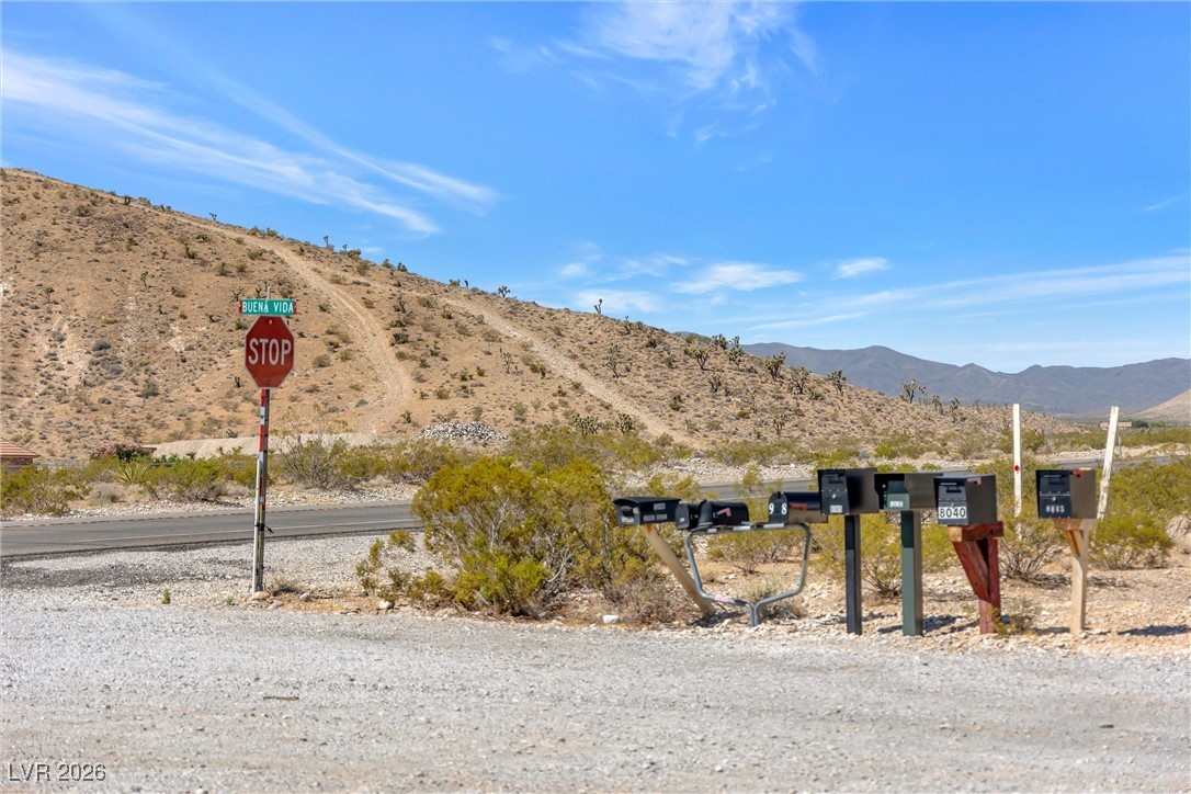 Buena Vida 126-08-801-004