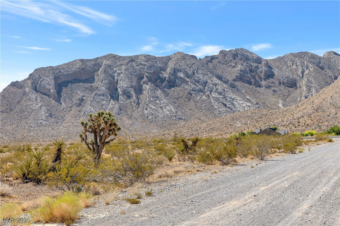 Buena Vida 126-08-801-004