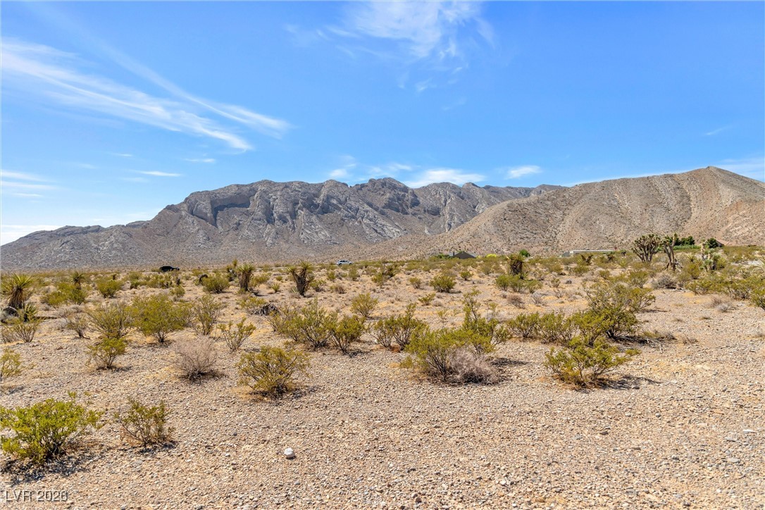 Buena Vida 126-08-801-004