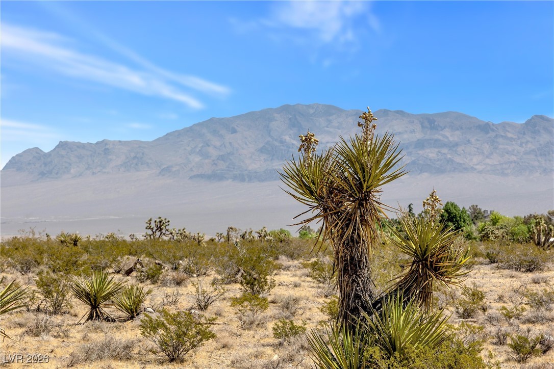 Buena Vida 126-08-801-004