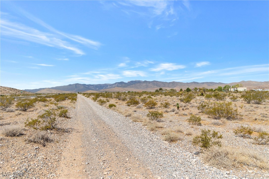 Buena Vida 126-08-801-004