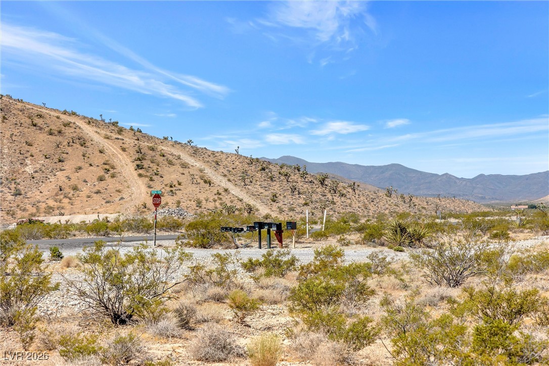 Buena Vida 126-08-801-004