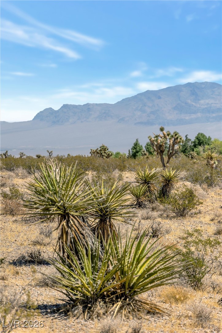 Buena Vida 126-08-801-004