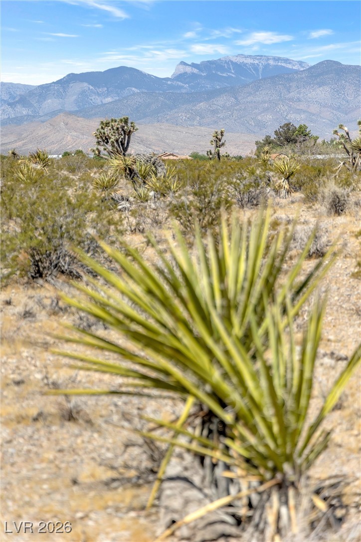 Buena Vida 126-08-801-004