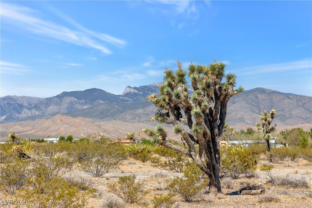 Buena Vida 126-08-801-004