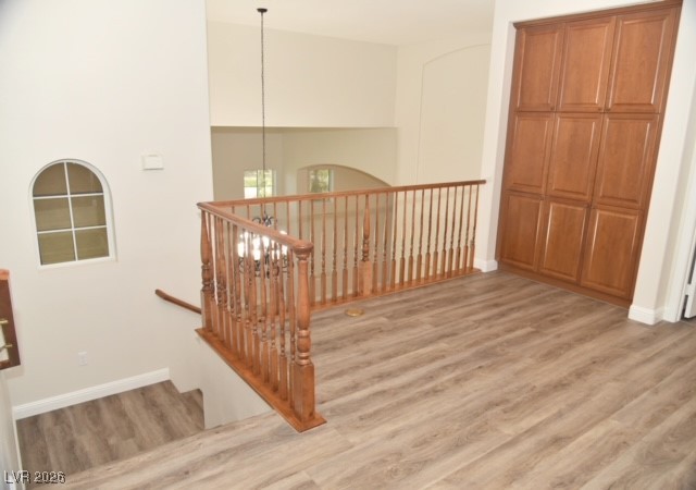 101 North BUTEO WOODS Lane