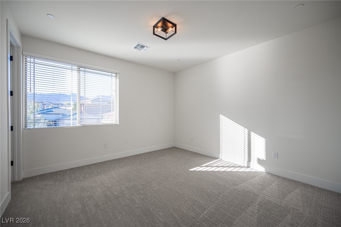 204 Native Stone Street