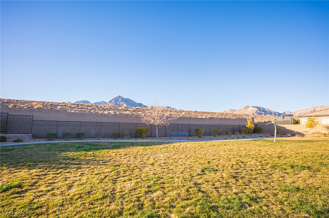 204 Native Stone Street