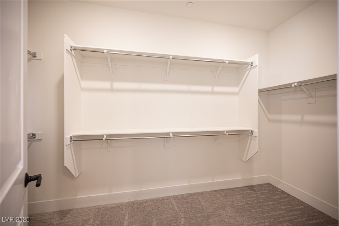 204 Native Stone Street