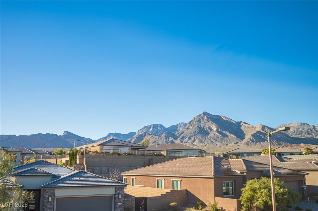 204 Native Stone Street