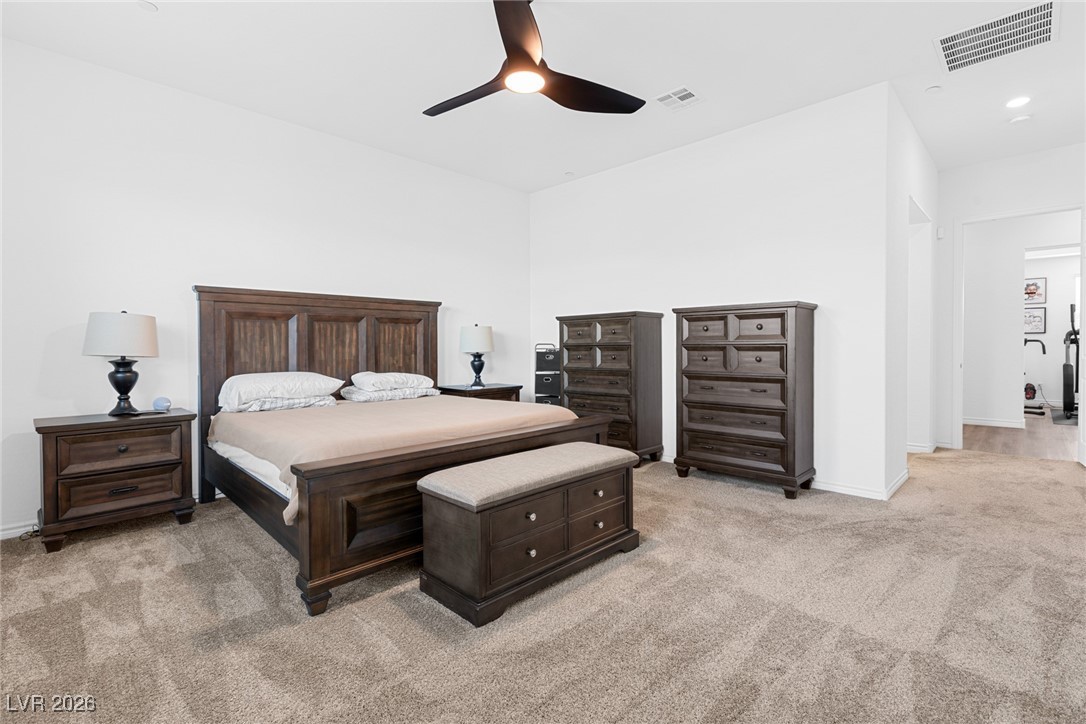 336 Verdi Falls Avenue