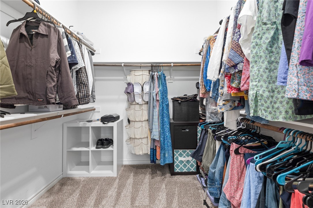 336 Verdi Falls Avenue