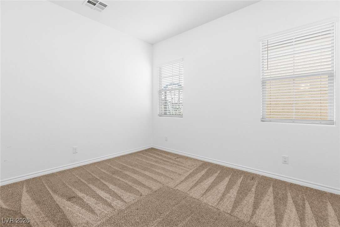 336 Verdi Falls Avenue