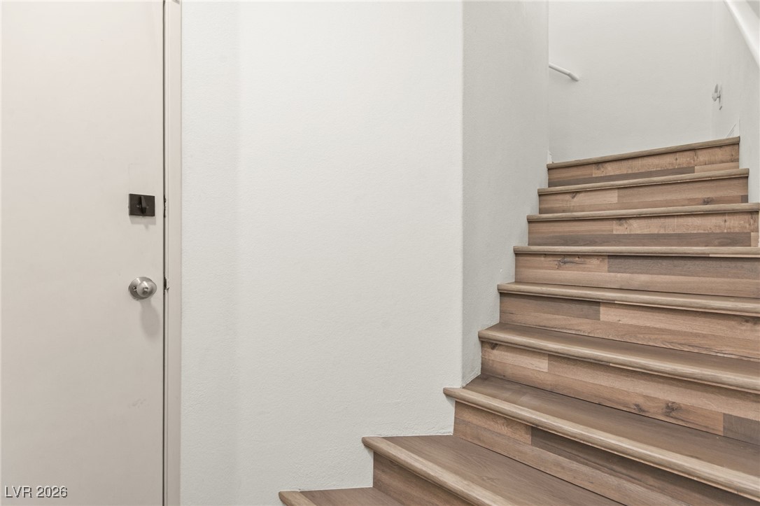 9116 Bushy Tail Avenue 101