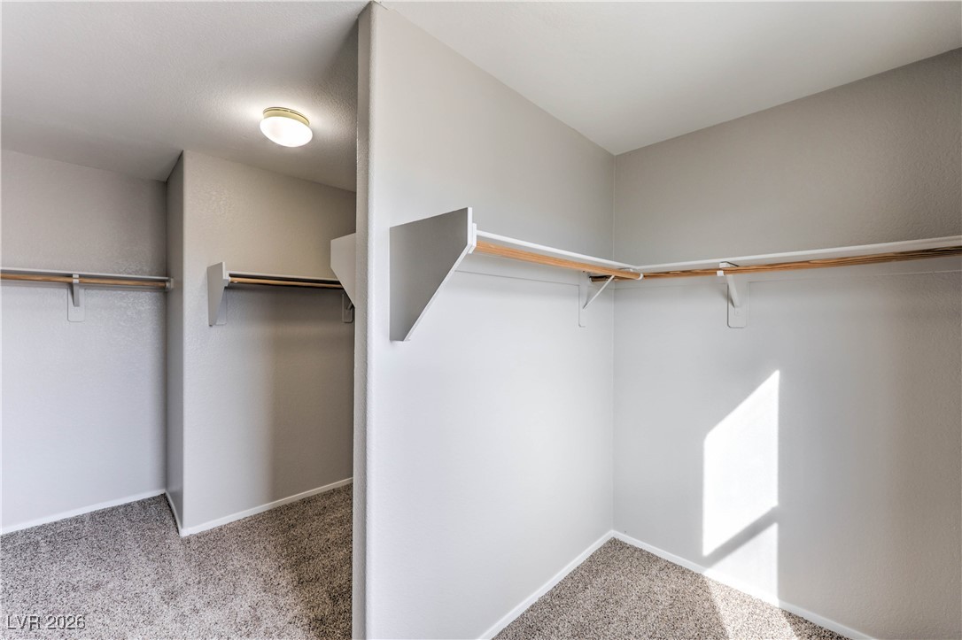 205 Palmarosa Street