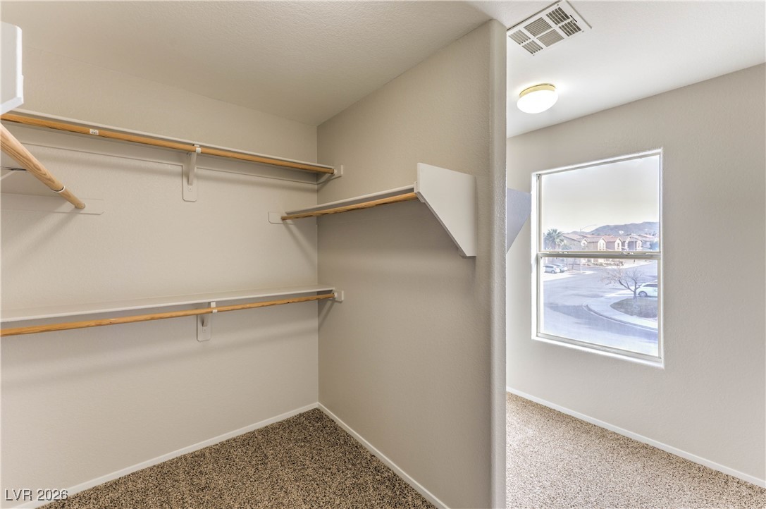 205 Palmarosa Street