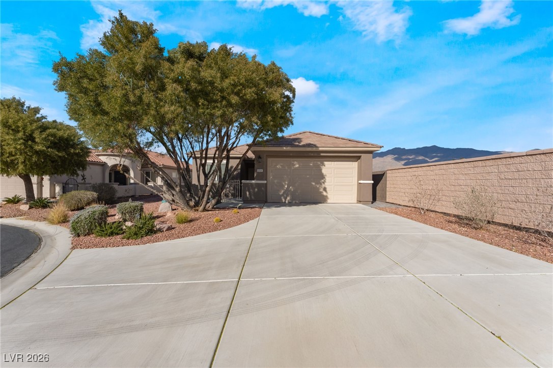 6804 Woodland Vase Court