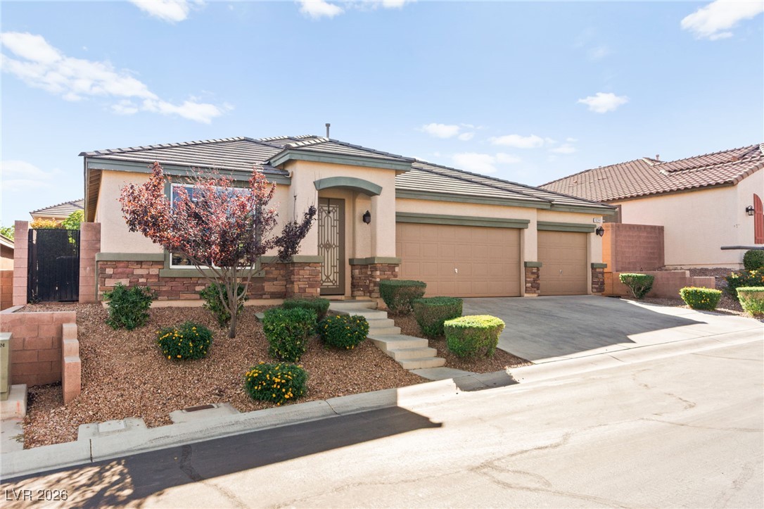 10241 Pine Ridge Peak Avenue