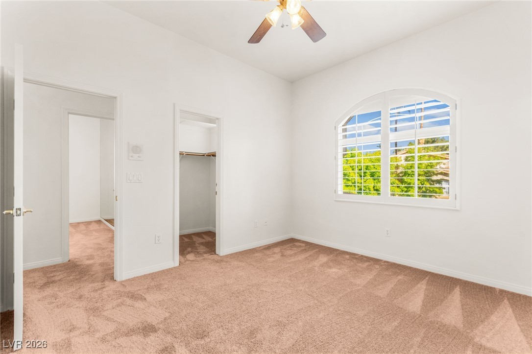 409 Indigo Springs Street