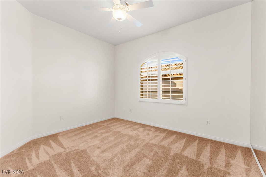 409 Indigo Springs Street