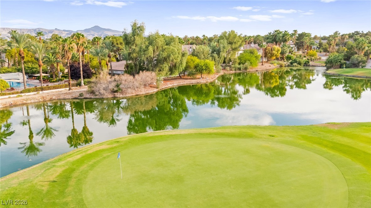 409 Indigo Springs Street