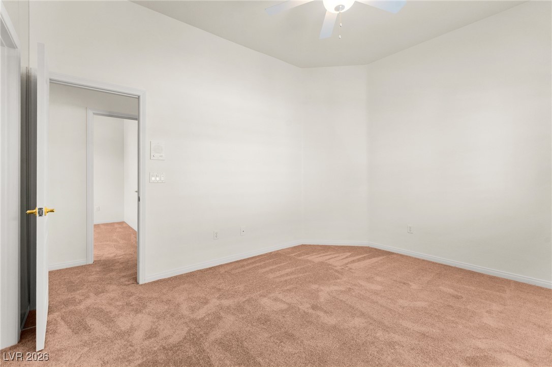 409 Indigo Springs Street