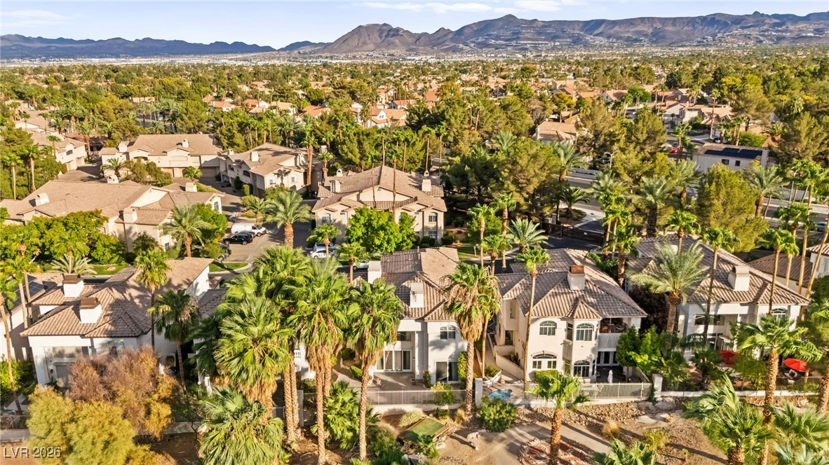 409 Indigo Springs Street