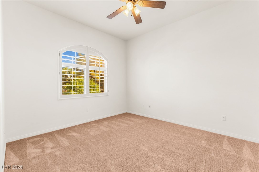 409 Indigo Springs Street