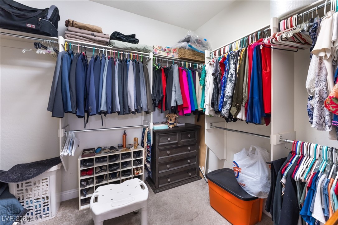 6175 Moonlight Sonata Avenue