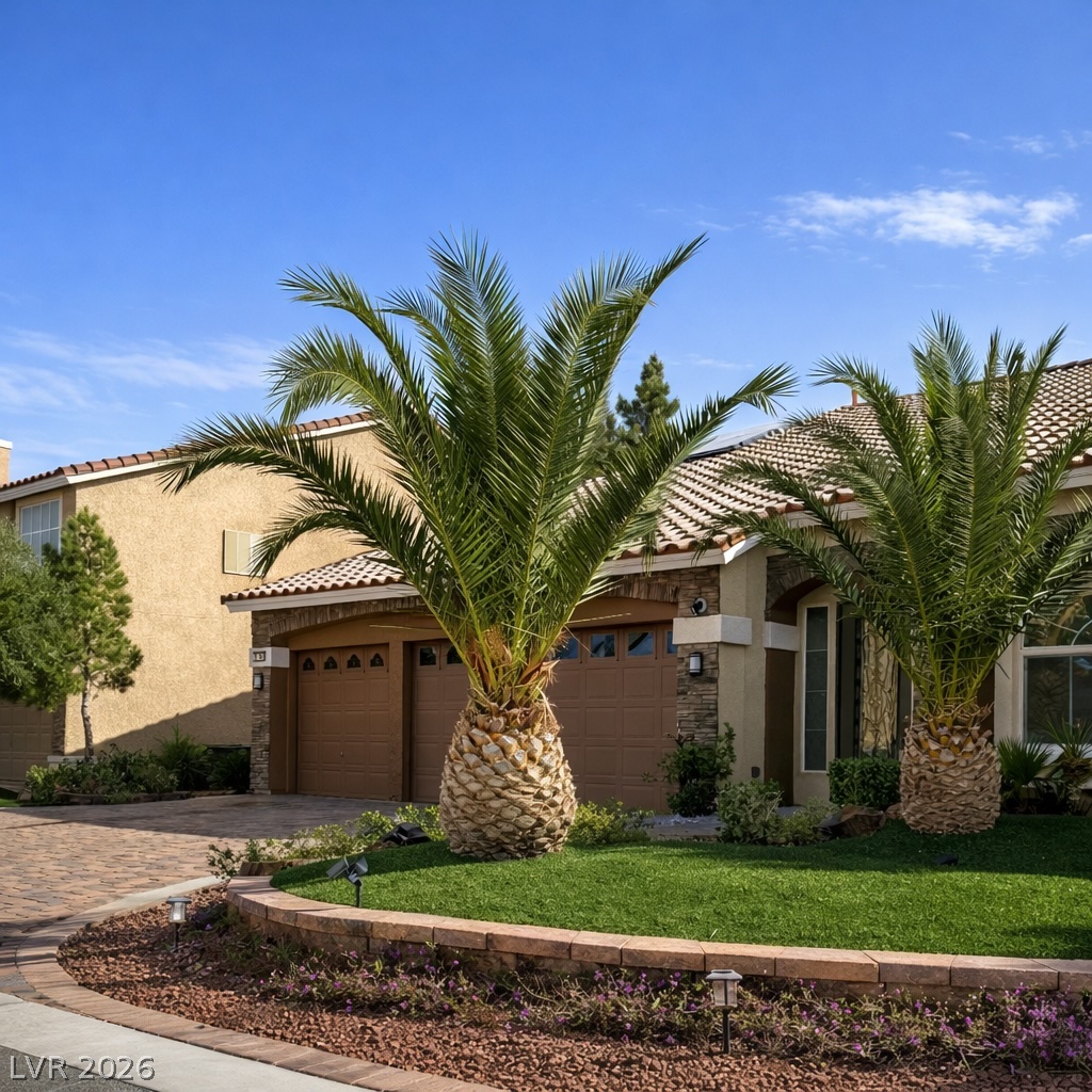 10042 Pipestone Street