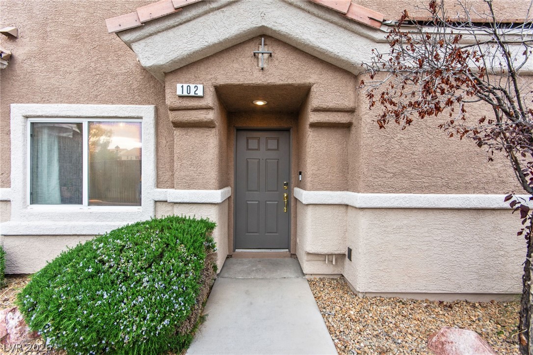 10048 Aspen Rose Street 102