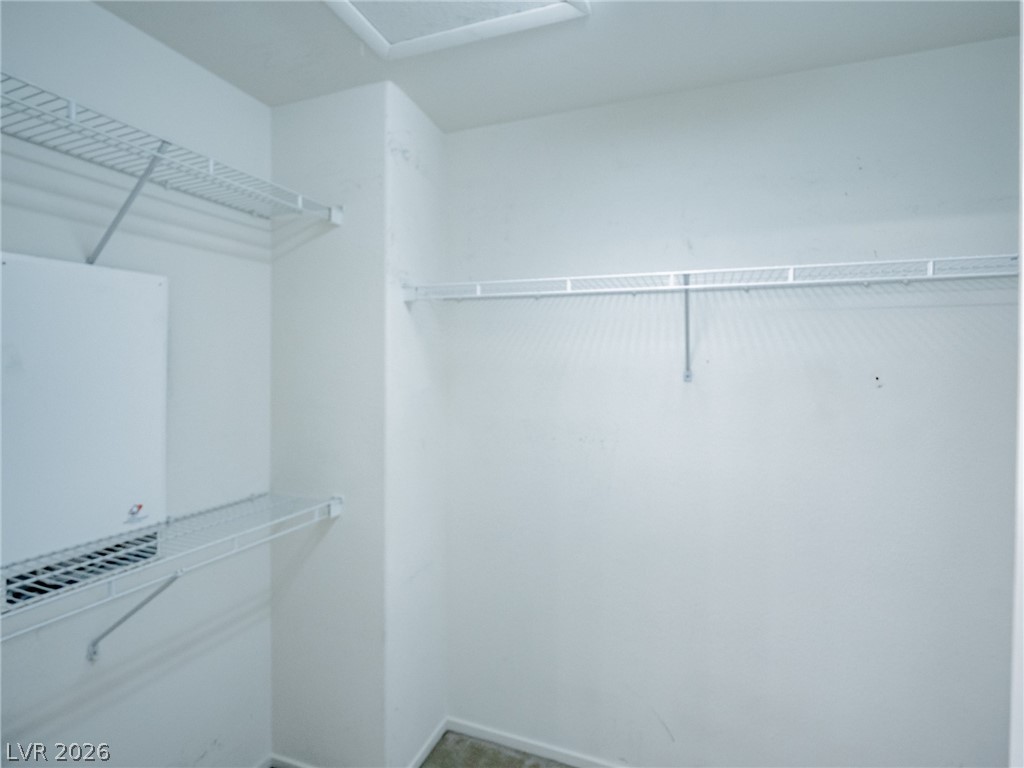 7535 Jacaranda Leaf Street