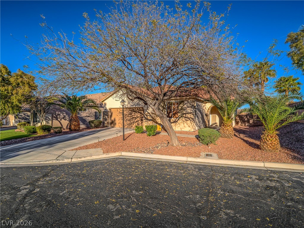 10588 Gambassi Court