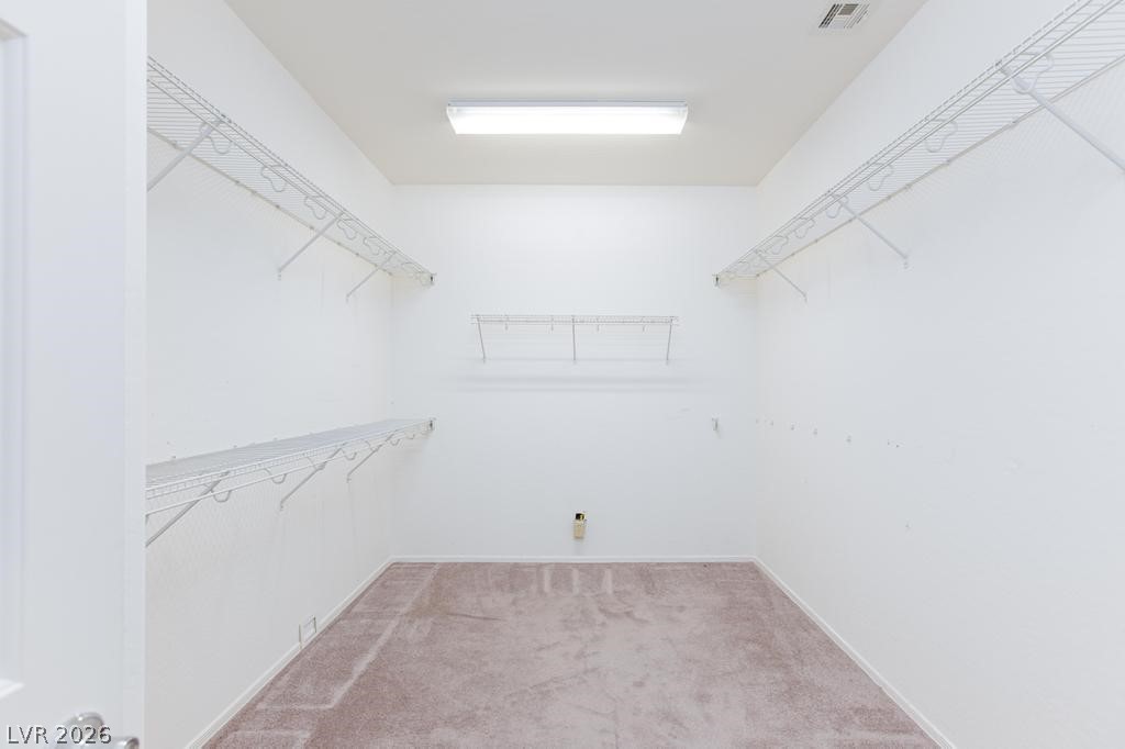 7716 Homing Pigeon Street