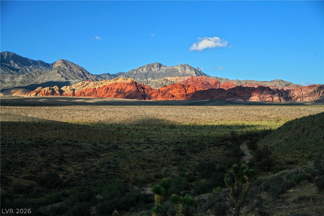 11733 Via Esperanza Avenue