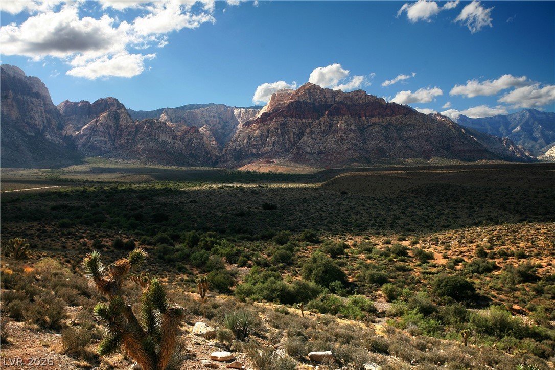 11733 Via Esperanza Avenue