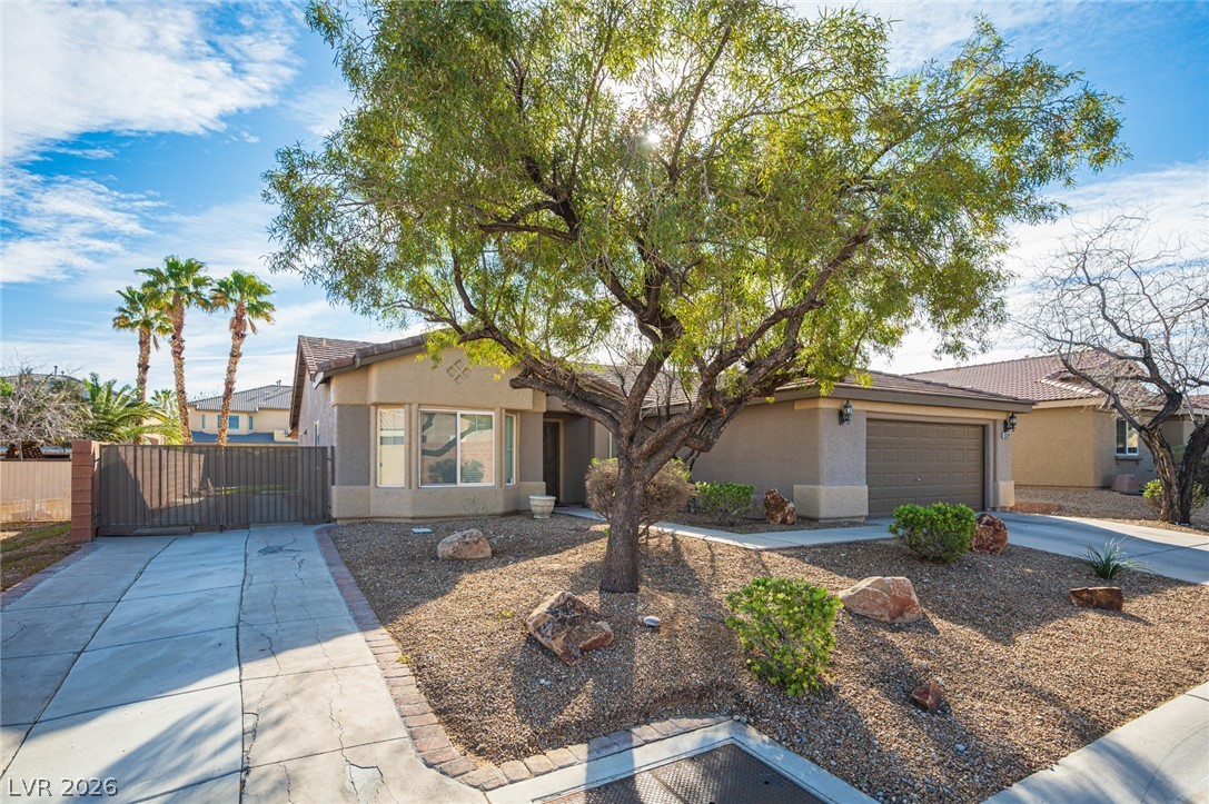 8228 Willow Cabin Street