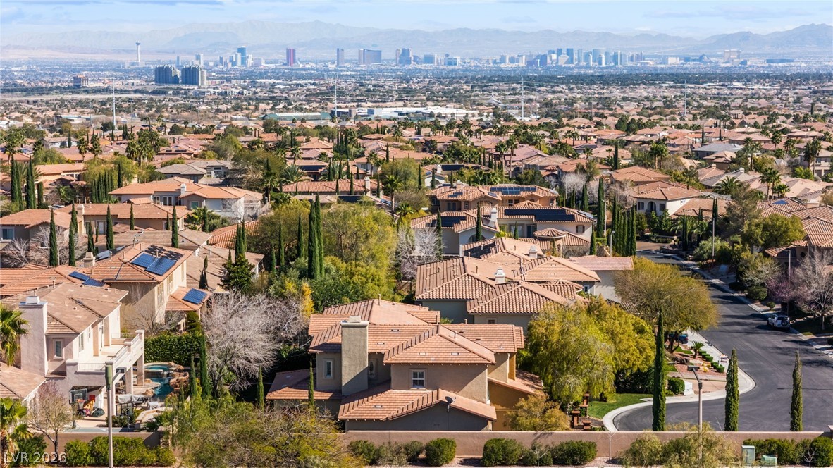 11558 Trevi Fountain Avenue