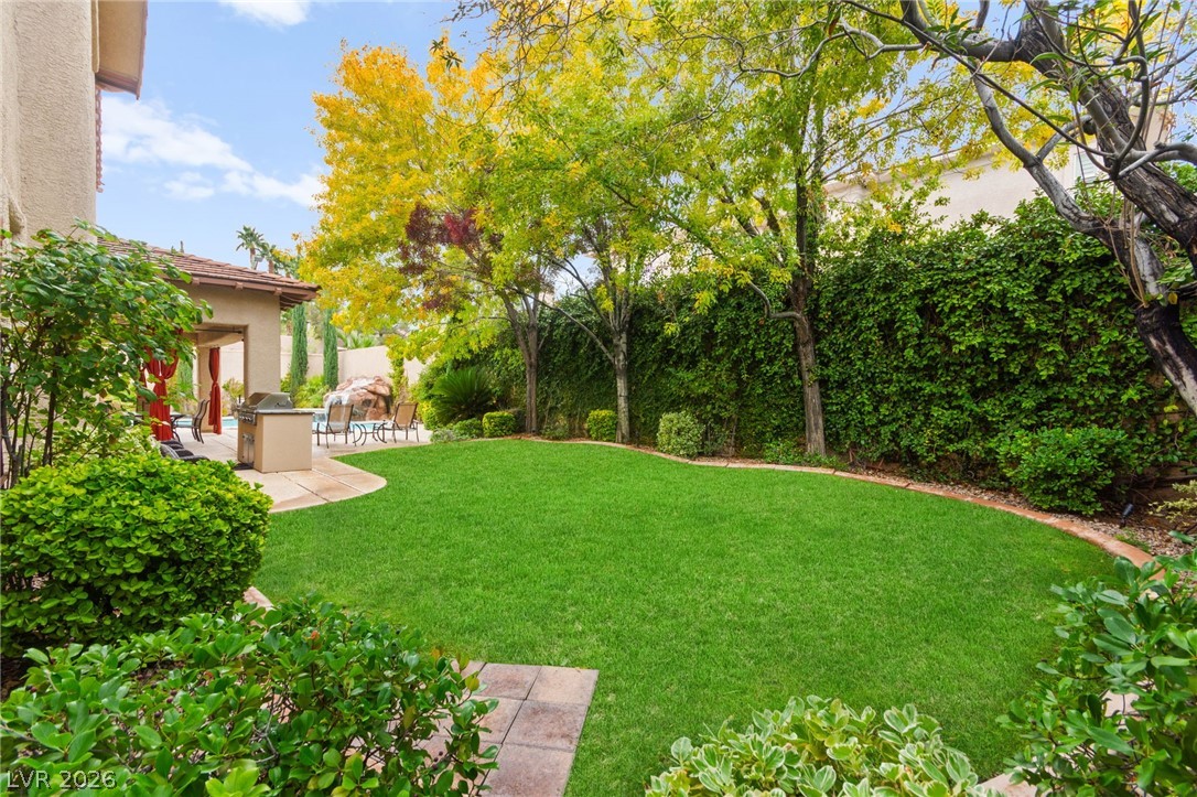 11558 Trevi Fountain Avenue