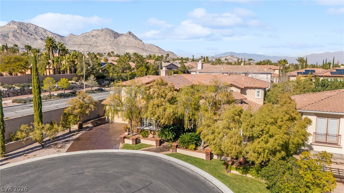 11558 Trevi Fountain Avenue