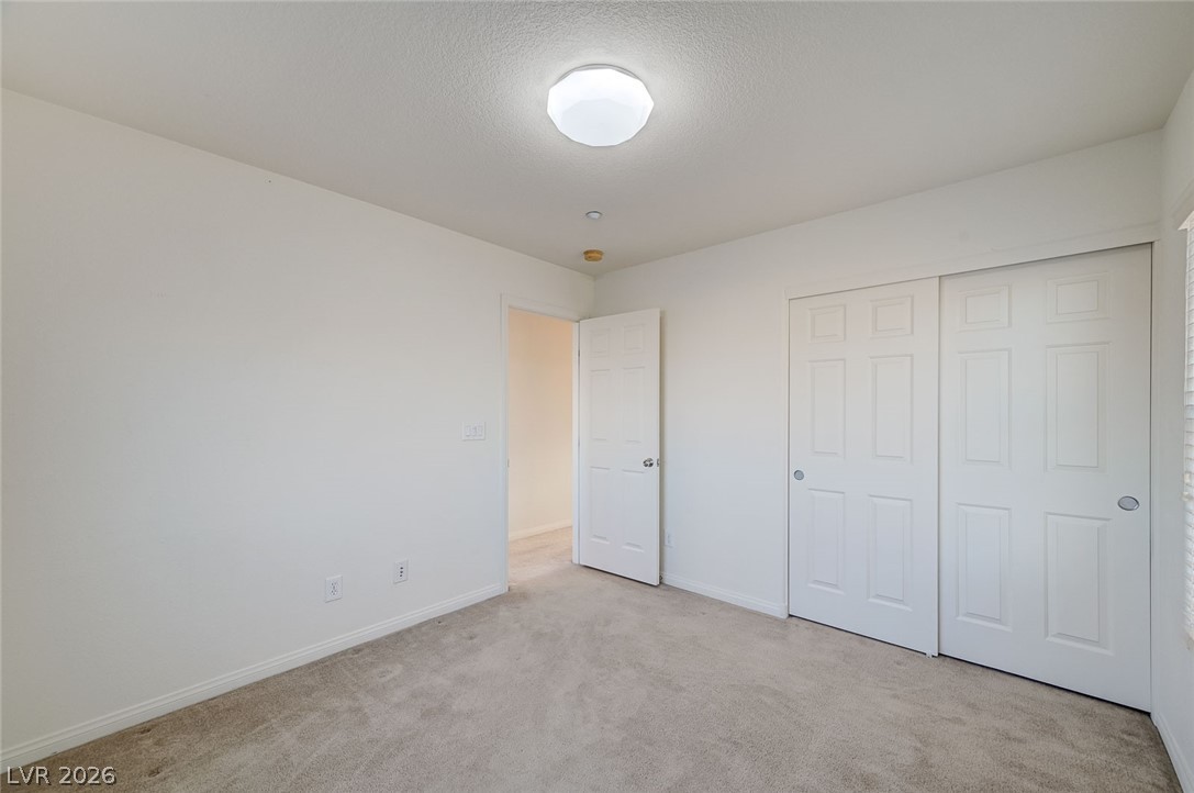 6622 Colorado Spruce Street