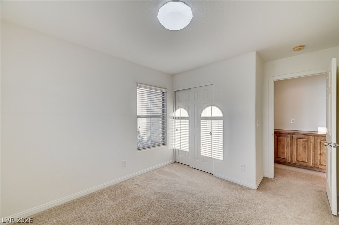 6622 Colorado Spruce Street