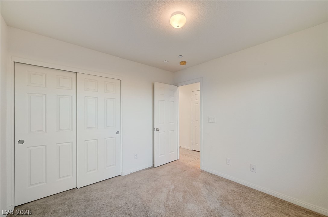 6622 Colorado Spruce Street