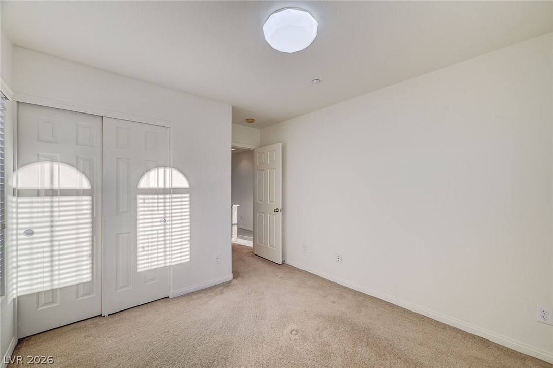 6622 Colorado Spruce Street