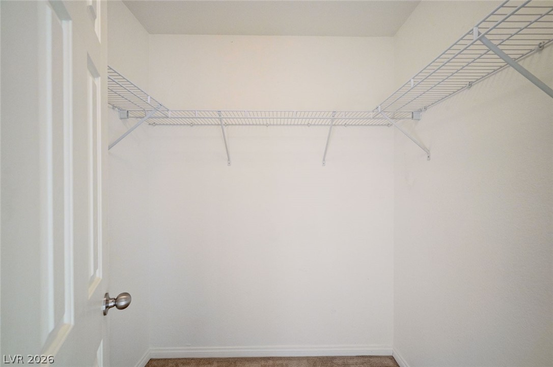 6622 Colorado Spruce Street