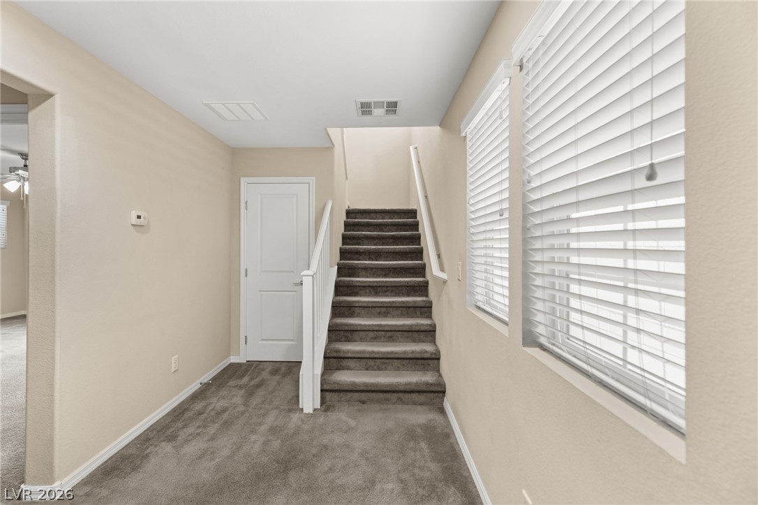 249 Cadence View Way
