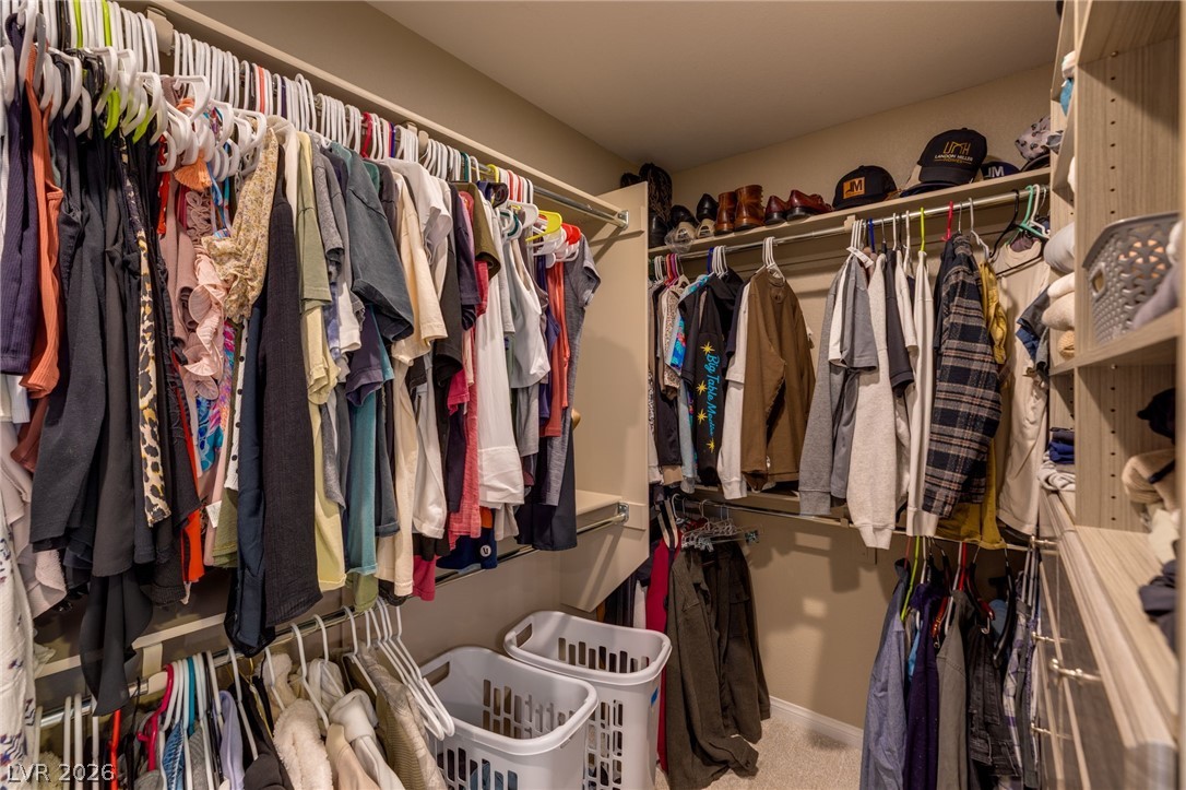 12477 Dolan Point Street