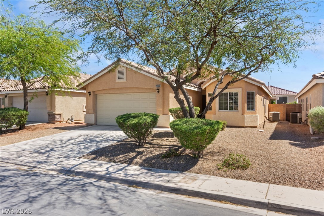 9360 Maple Red Court