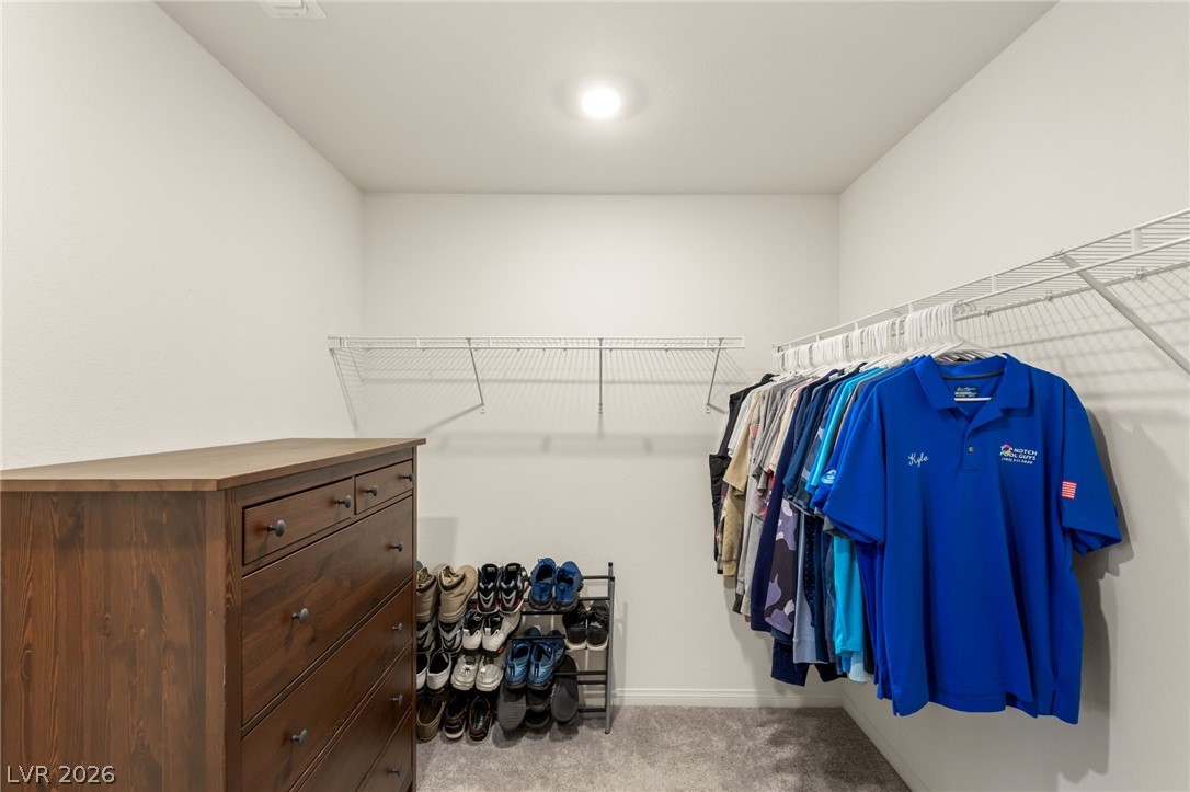 10193 Chockstone Street