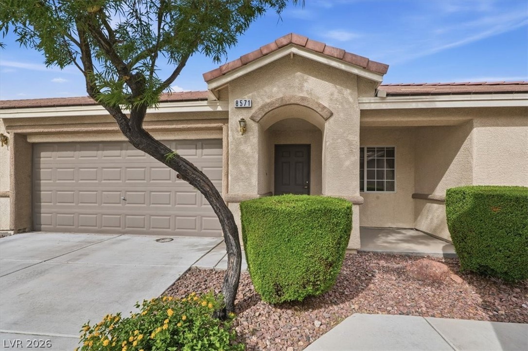 8571 Little Fox Street